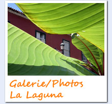 Galerie: La Laguna